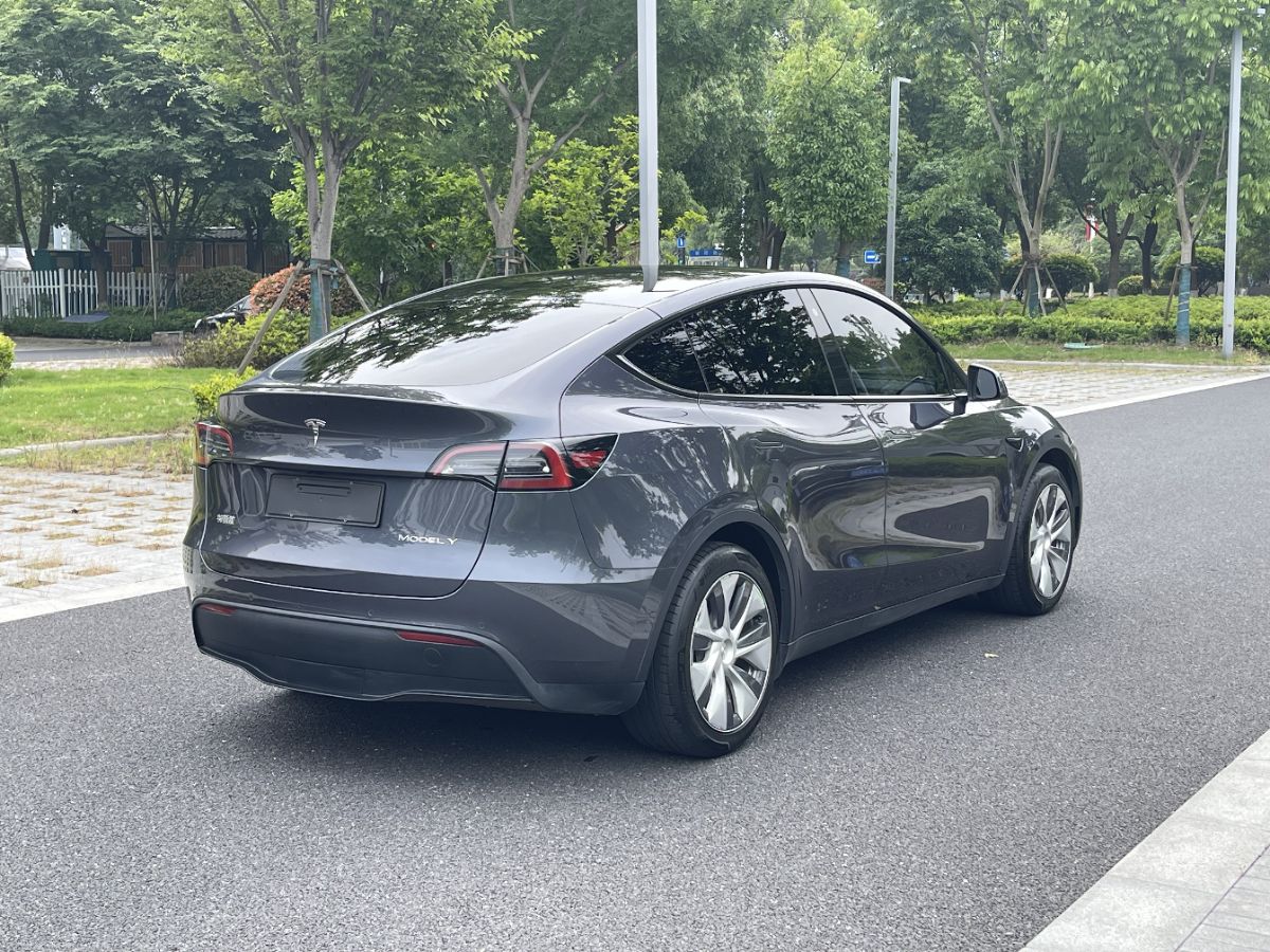 Tesla Model Y 2022 car image #6