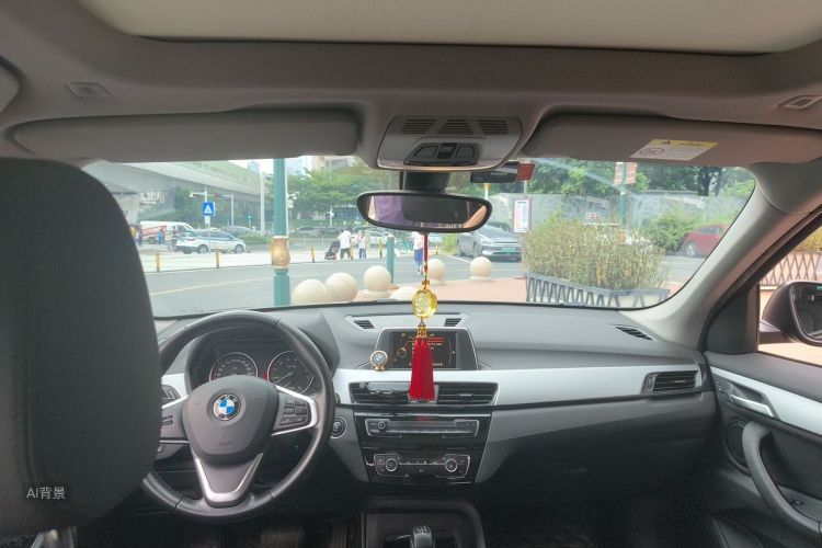 BMW X1 2017 car image #20