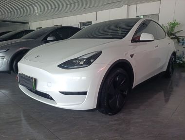 Tesla Model Y 2024 immagine di auto 
