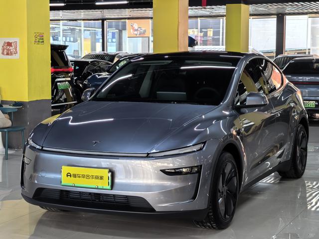 Tesla Model Y 2025 car image #19