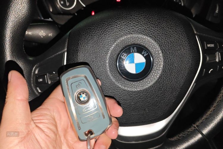 BMW 3 Series 2016 car image #10