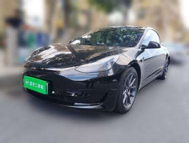 Tesla Model 3 2021 Tesla Model 3 2021 car image