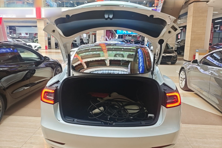 Tesla Model 3 2023 car image #19