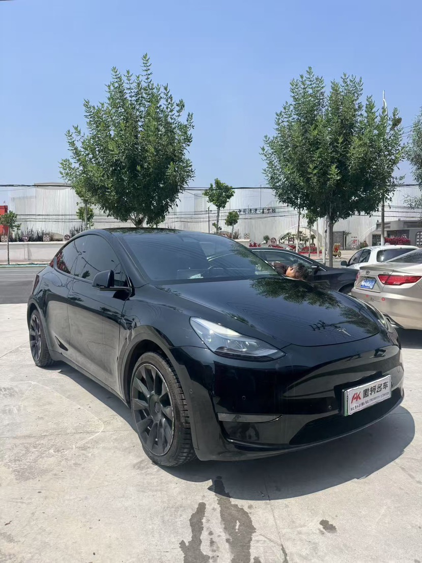 Tesla Model Y 2022 car image 