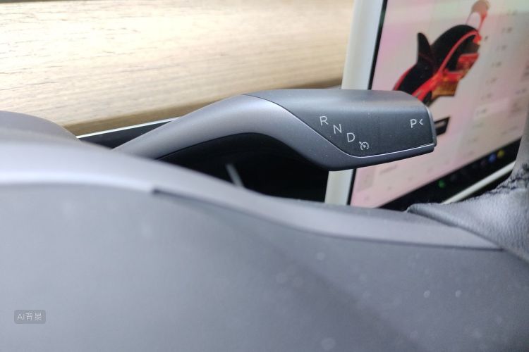 Tesla Model 3 2020 car image #16