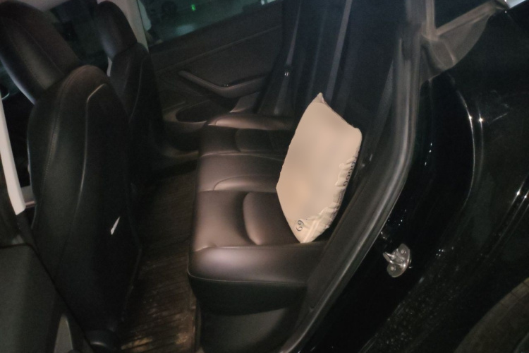 Tesla Model 3 2020 #10 Tesla Model 3 2020 car image #10