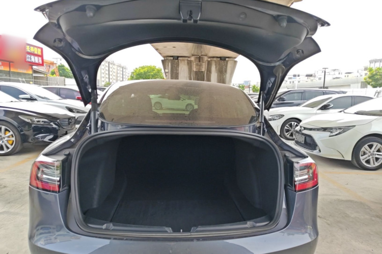 Tesla Model 3 2021 car image #19