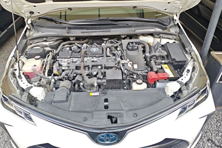 Toyota Corolla 2021 #20 Toyota Corolla 2021 car image #20
