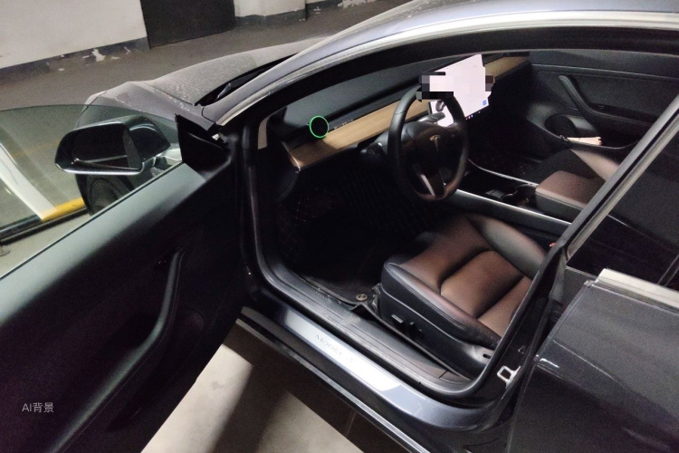 Tesla Model 3 2020 car image #18