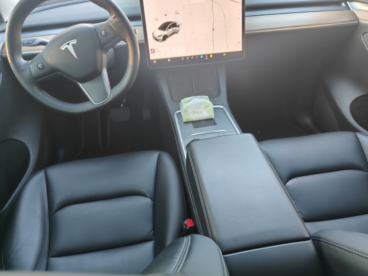 Tesla Model Y 2021 car image #6