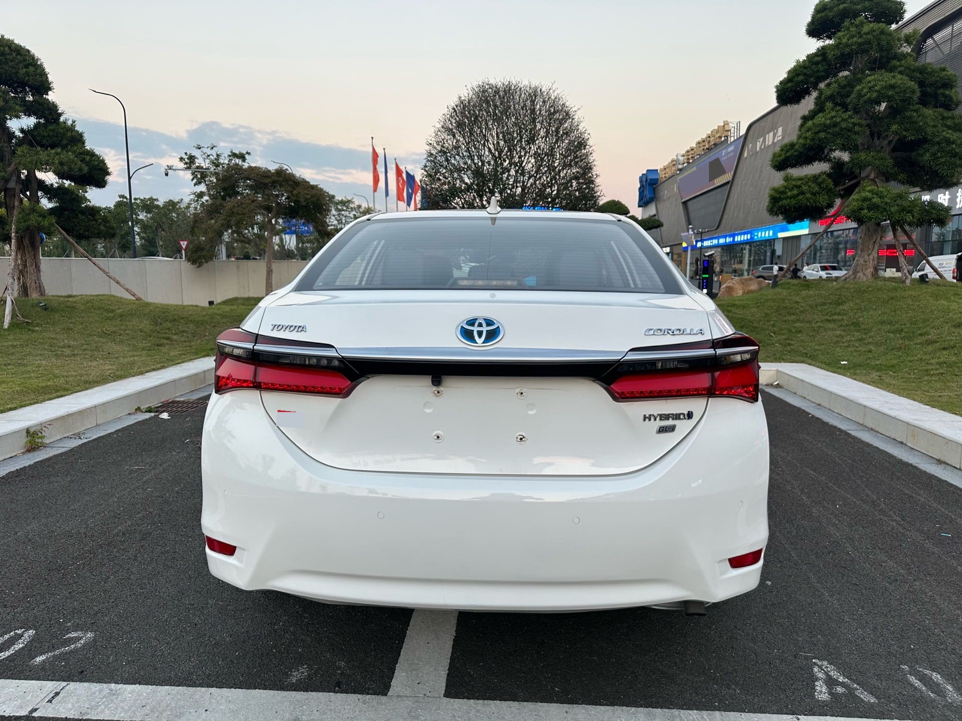Toyota Corolla 2019 car image #8
