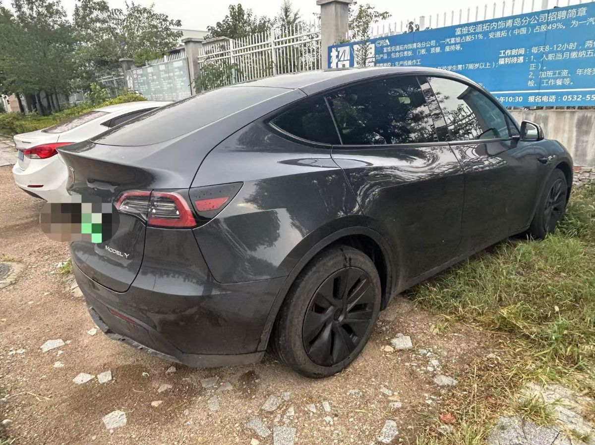 Tesla Model Y 2024 car image #6