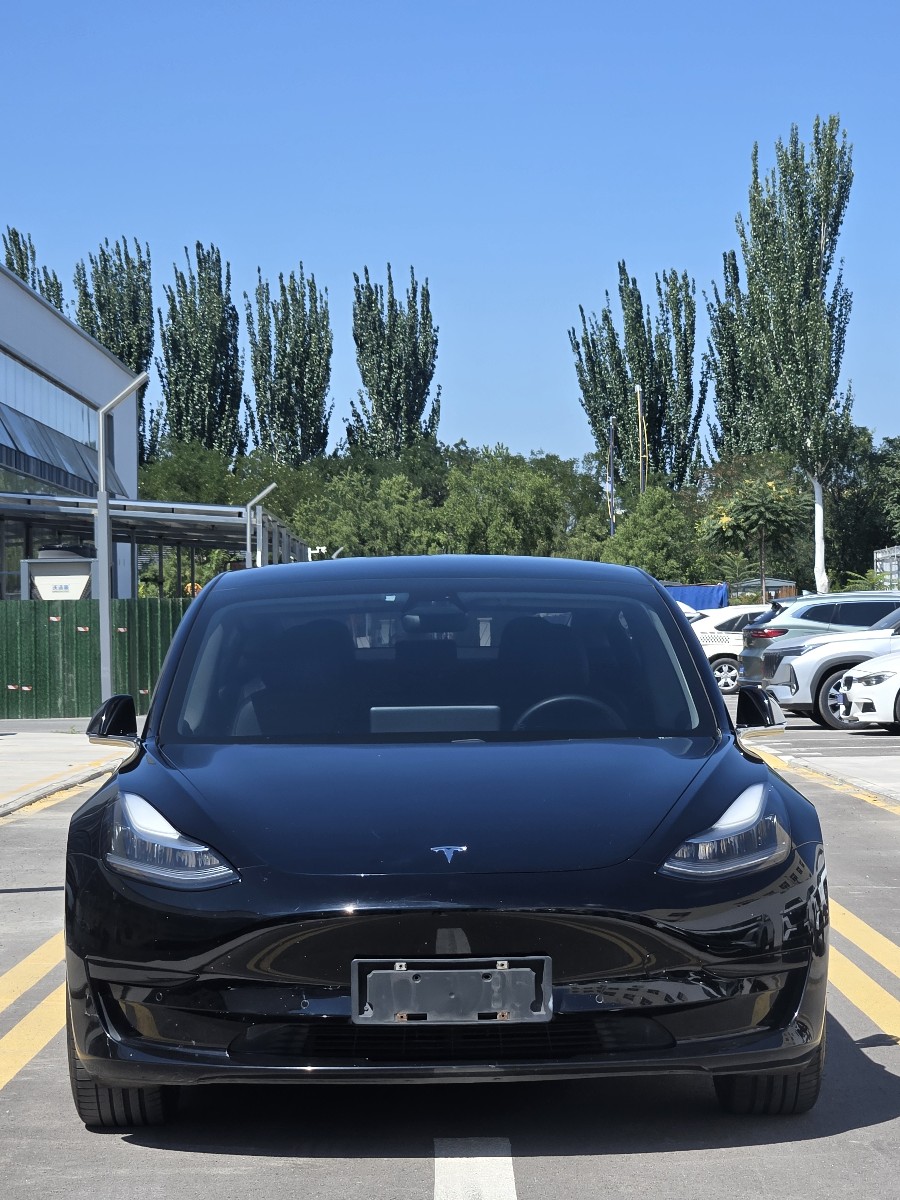 Tesla Model 3 2020 #2 Tesla Model 3 2020 car image #2