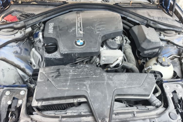 BMW 3 Series 2017 car image #22