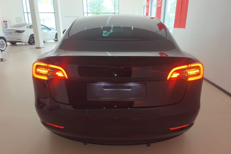 Tesla Model 3 2022 car image #6