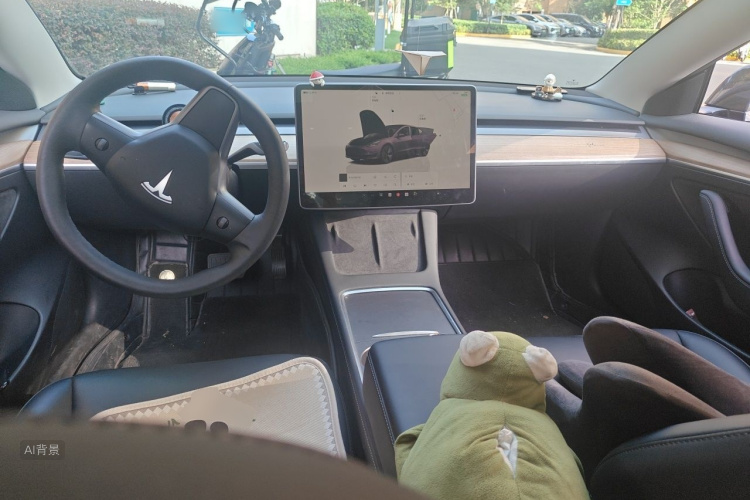 Tesla Model 3 2022 car image #11