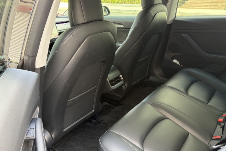 Tesla Model 3 2021 car image #9