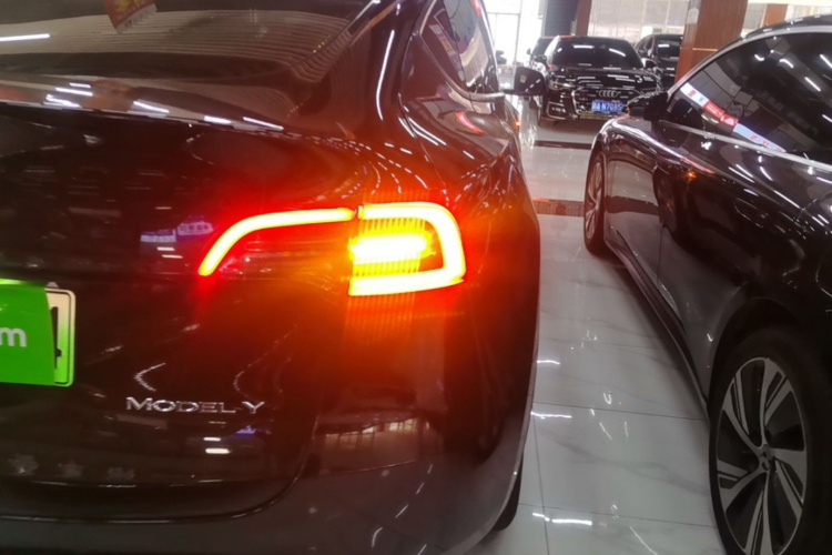Tesla Model Y 2023 #8 Tesla Model Y 2023 car image #8
