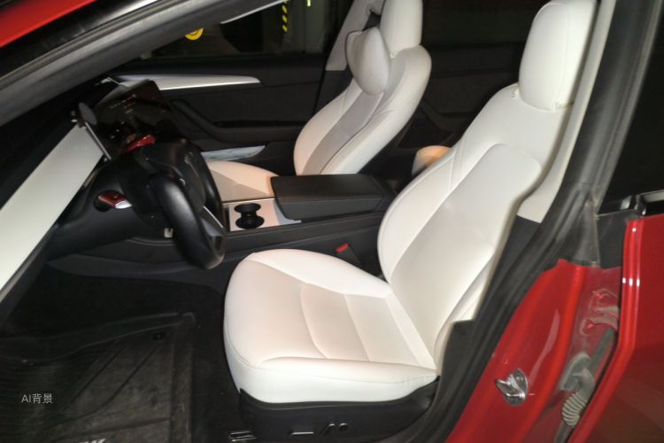 Tesla Model 3 2021 car image #17