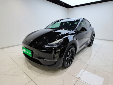 Tesla Model Y 2022 car image 