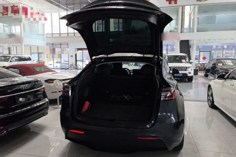 Tesla Model Y 2024 #19 Tesla Model Y 2024 car image #19