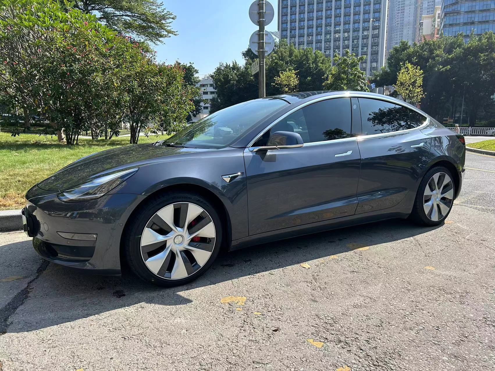 Tesla Model 3 (Imported) 2019 汽车图片 