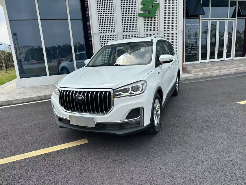 SWM G01FF 2020 汽车图片 