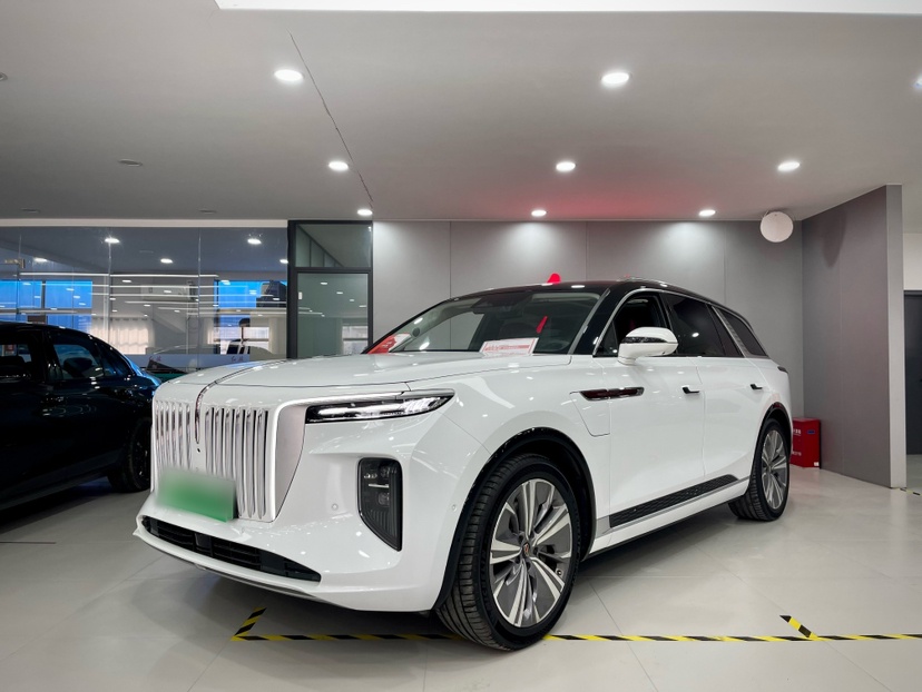 HongQi E-HS9 2024 car image 