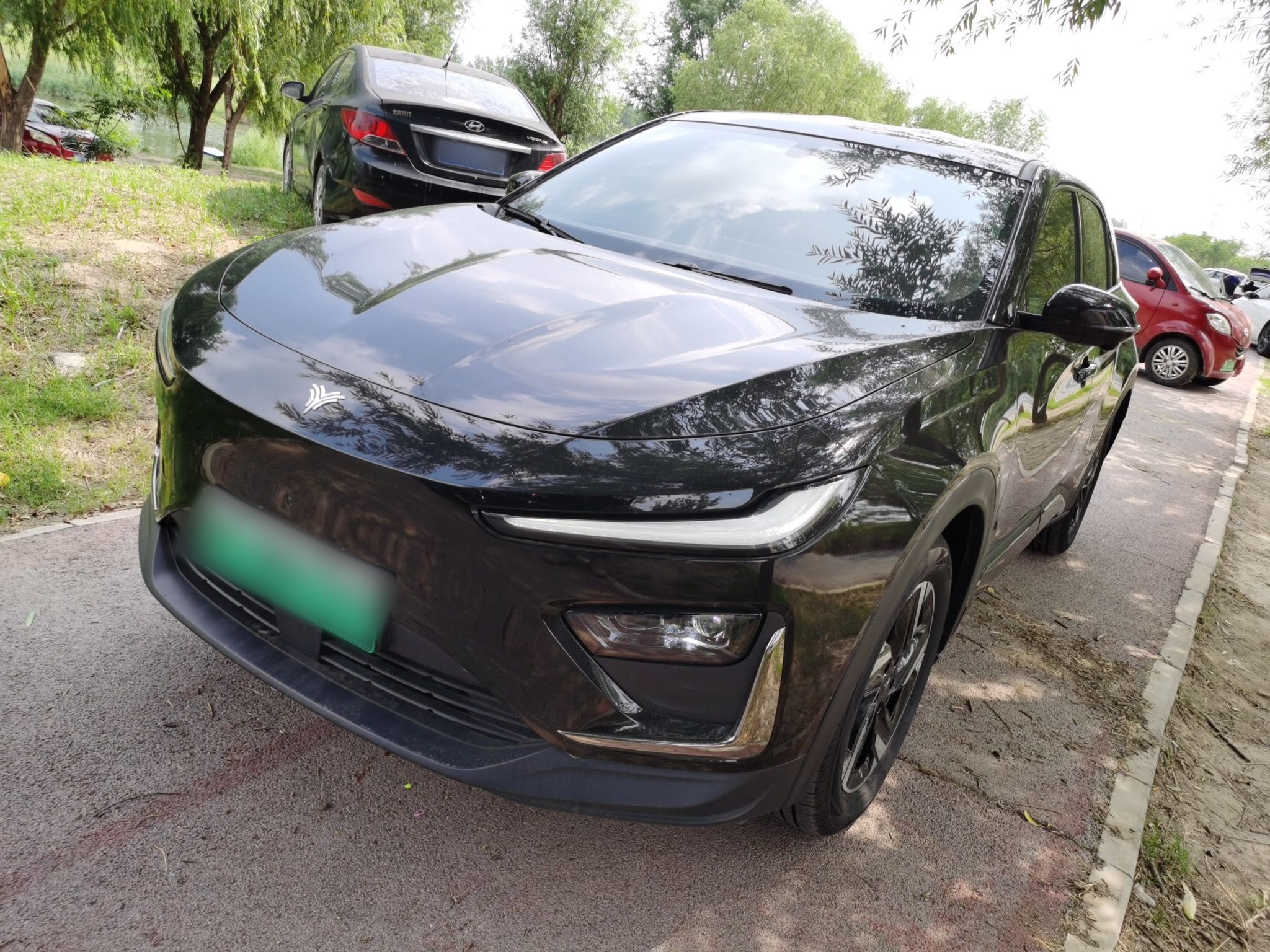 Neta X 2024 汽车图片 