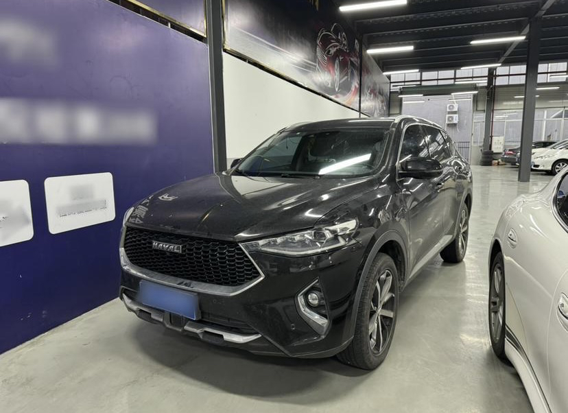 Haval F7 2019 car image 