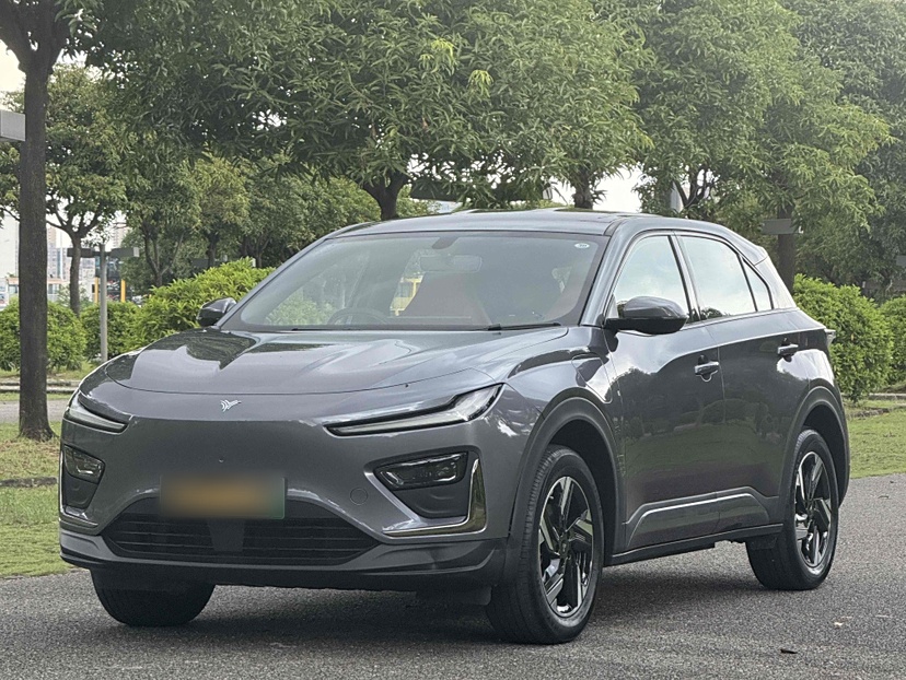 Neta X 2024 汽车图片 