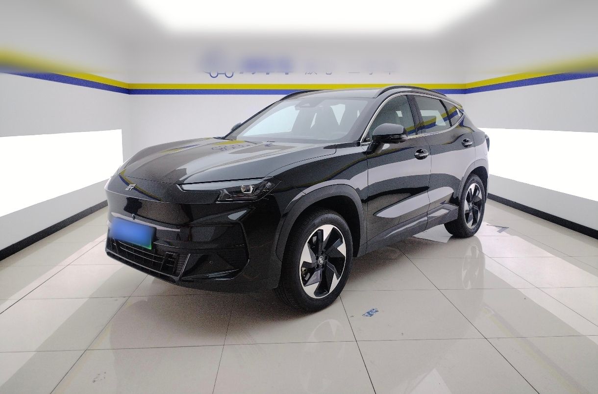 Jetour Shanhai L6 2024 汽车图片 