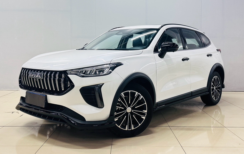 Haval Rabbit 2024 car image 
