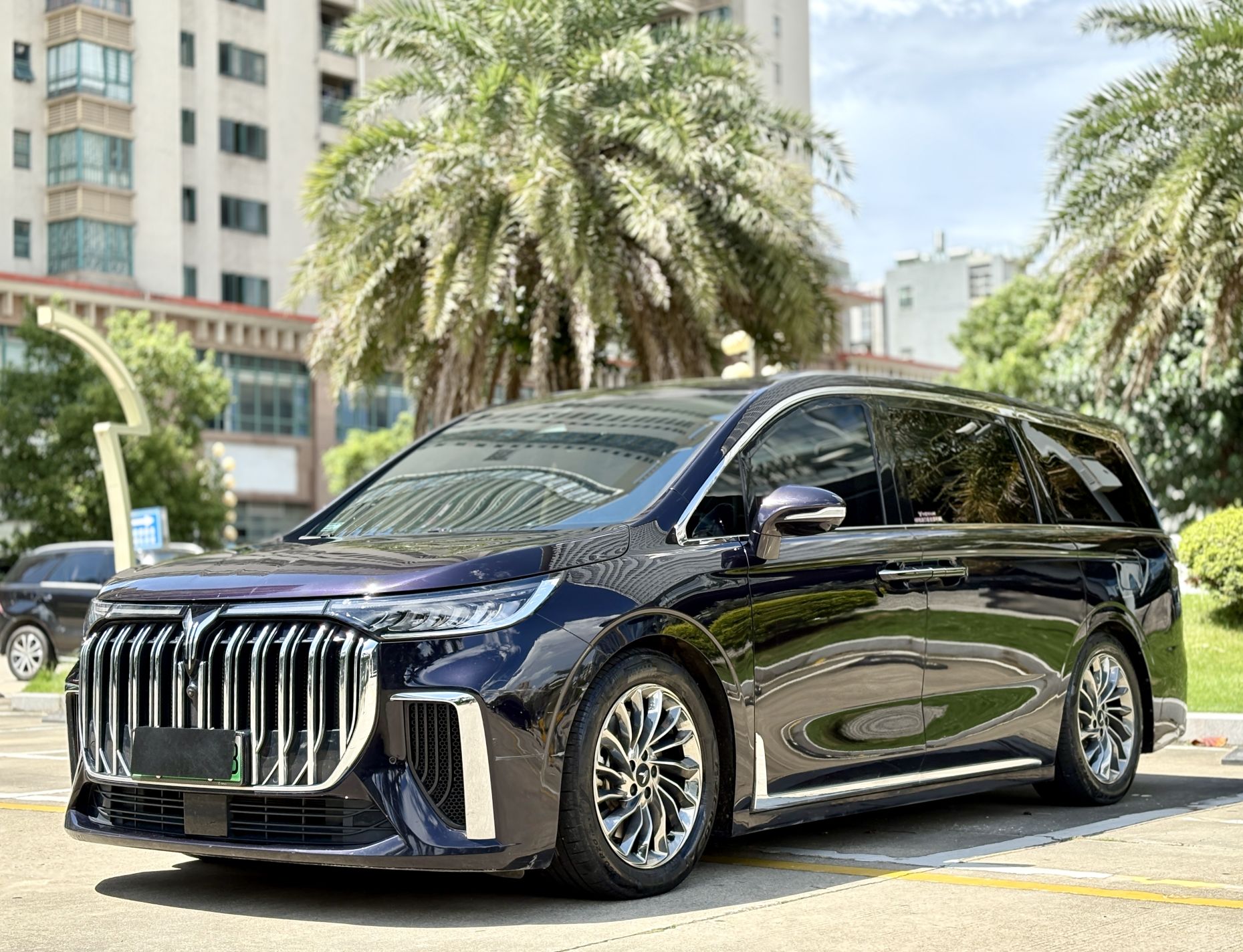 岚图汽车 岚图梦想家 2023 汽车图片 