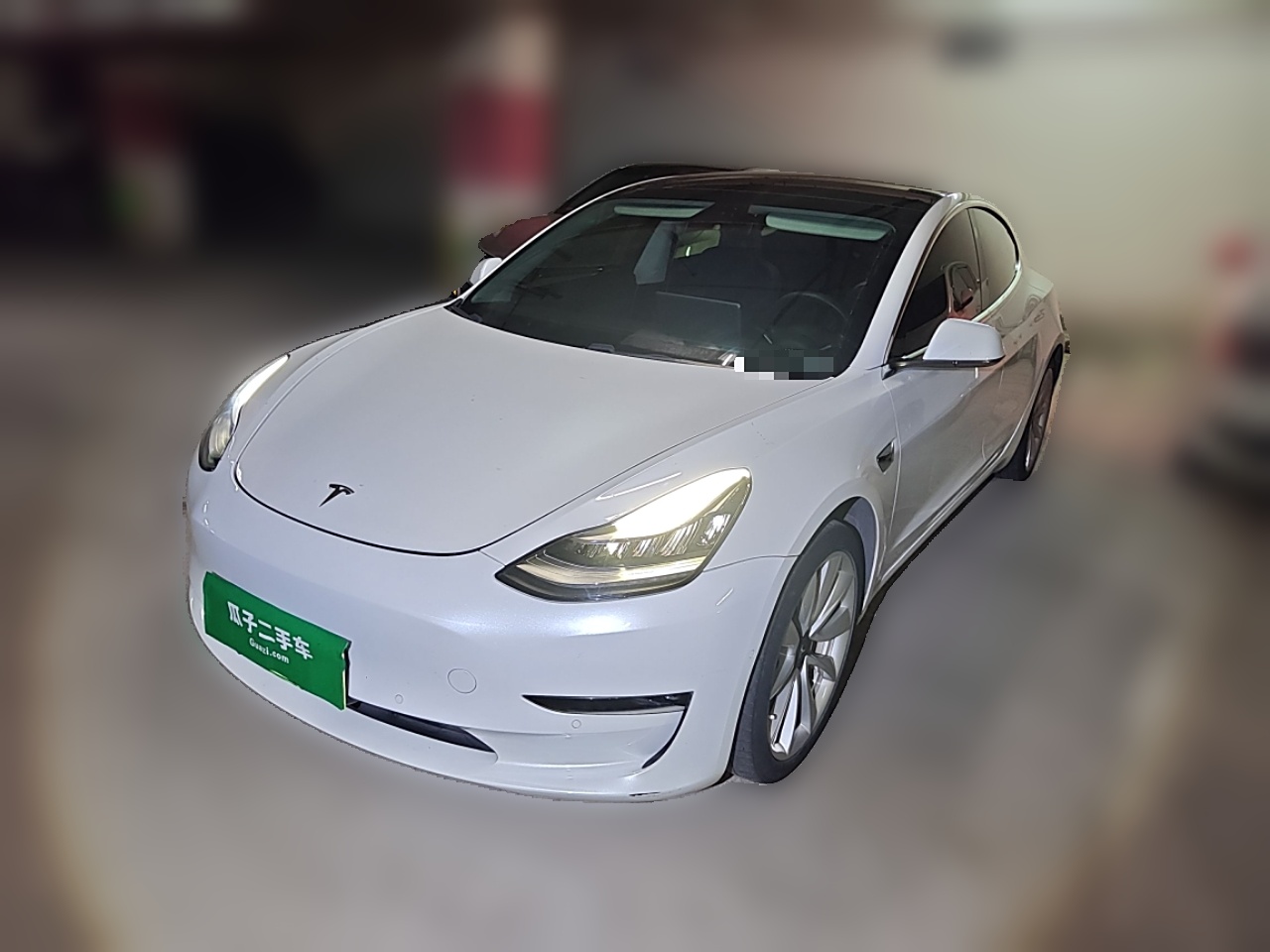 Tesla Model 3 (Imported) 2019 汽车图片 