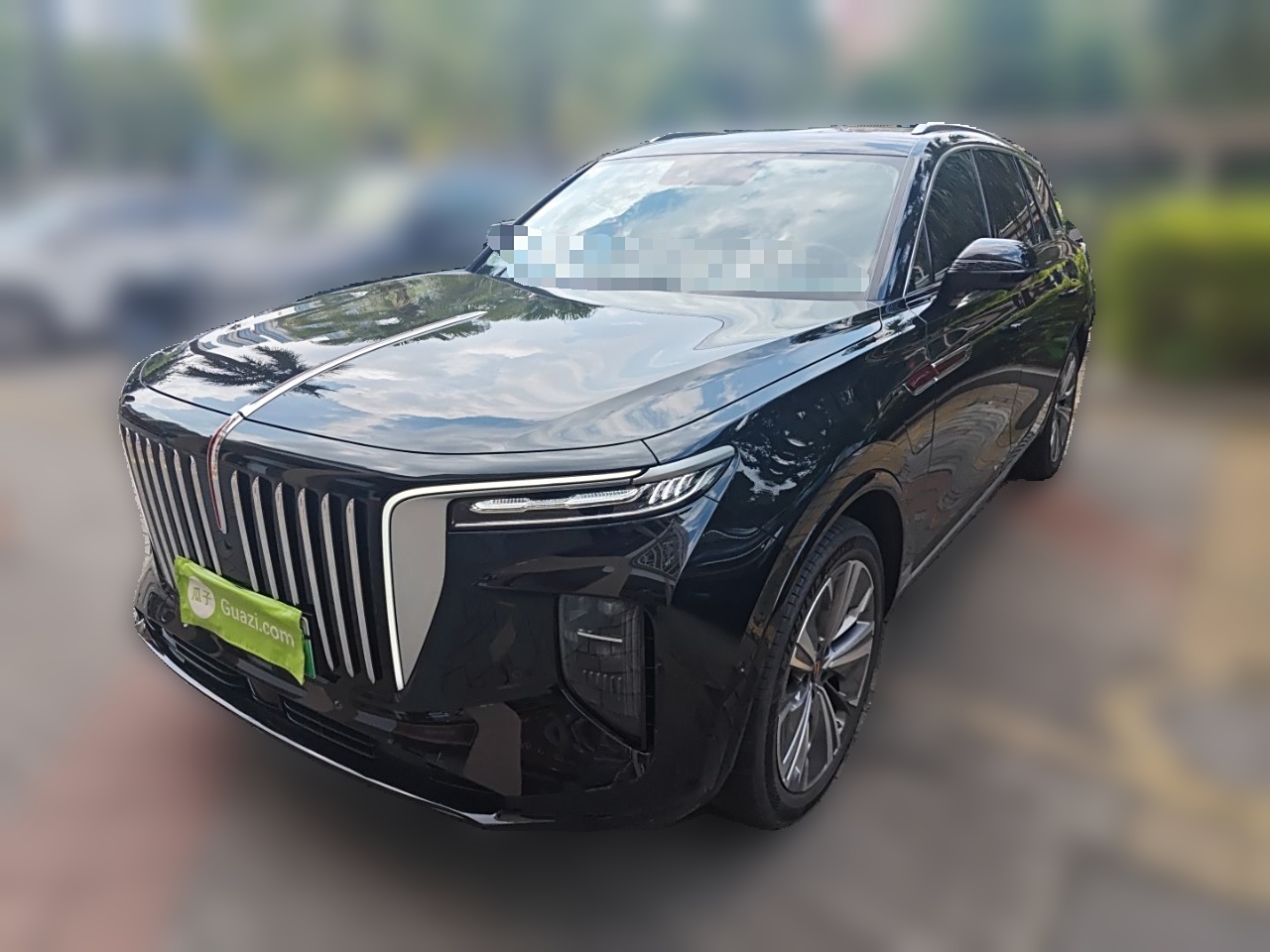 HongQi E-HS9 2022 car image 