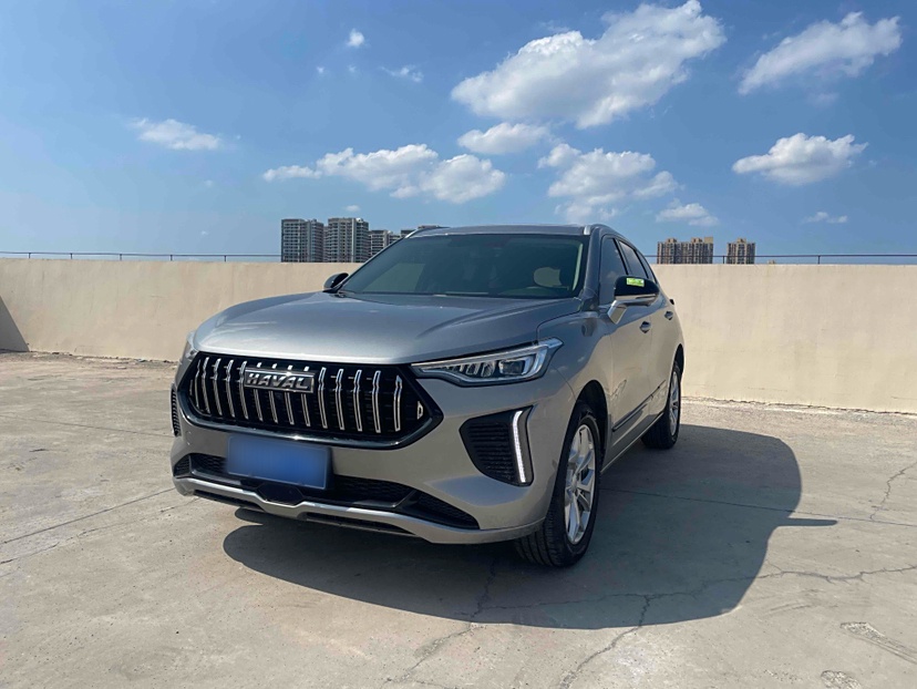 Haval Rabbit 2024 car image 