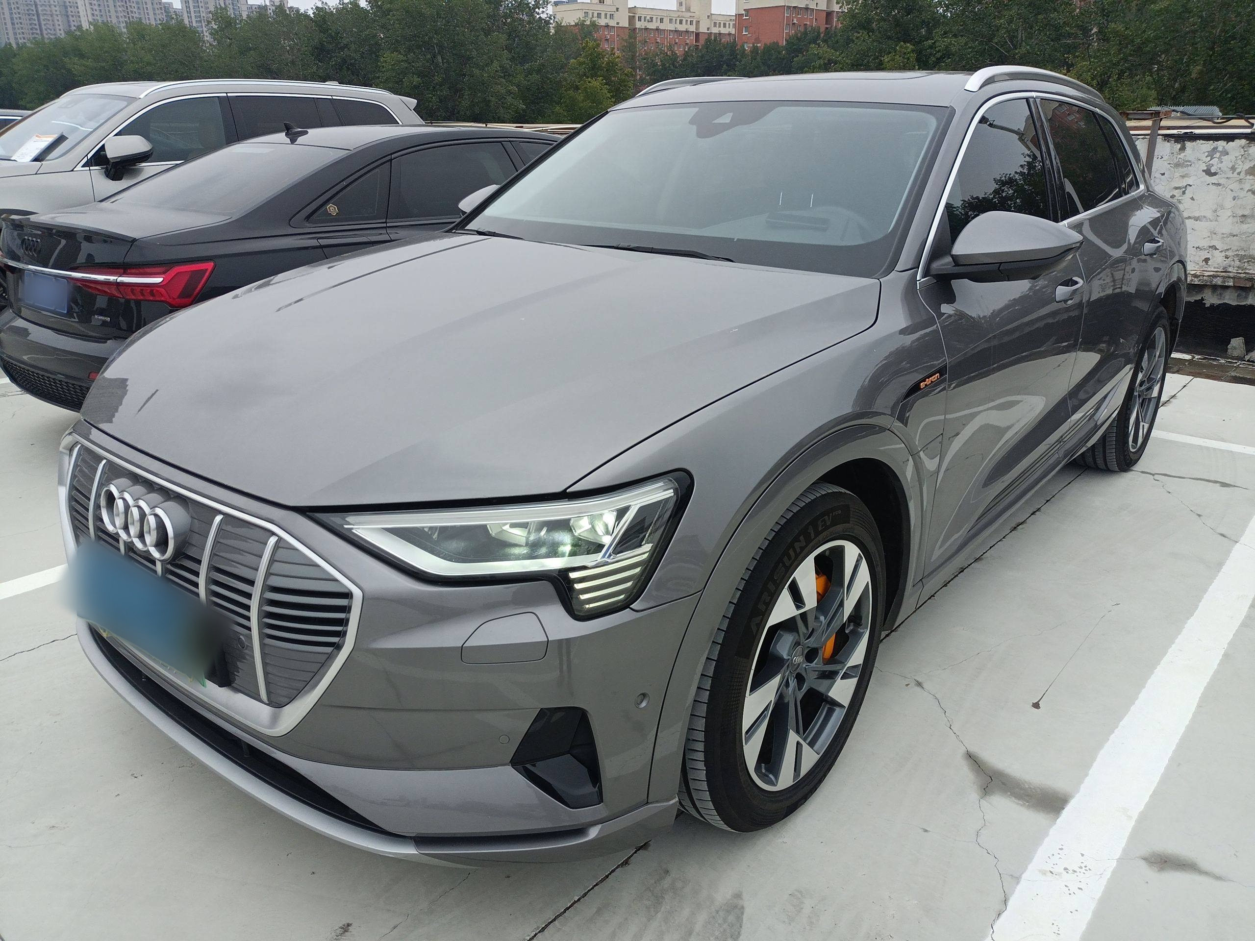 Audi e-tron (Imported) 2019 car image 