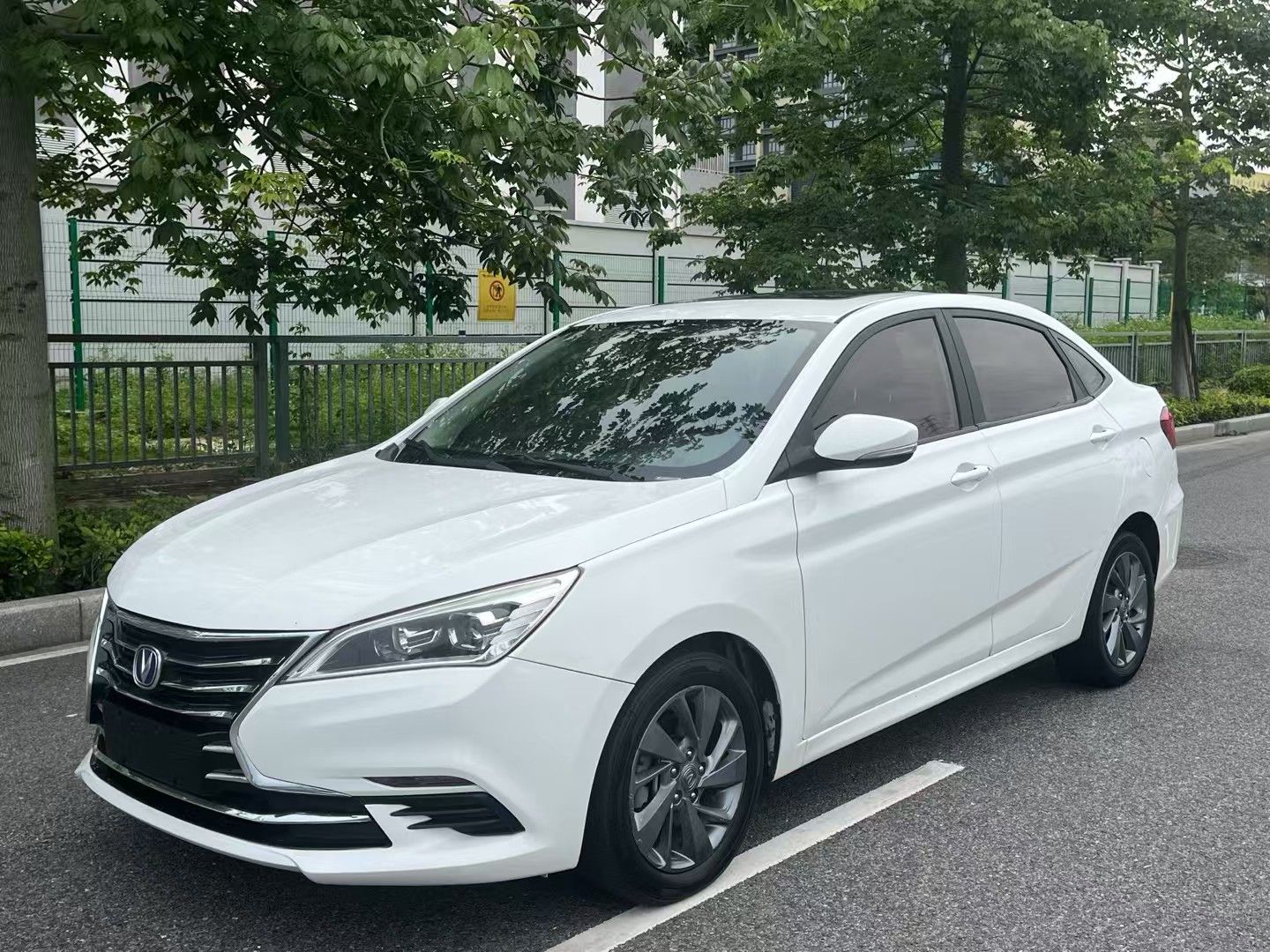 Changan Eado DT 2019 car image 