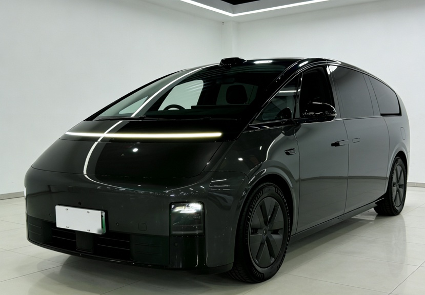 Li Mega 2024 汽车图片 