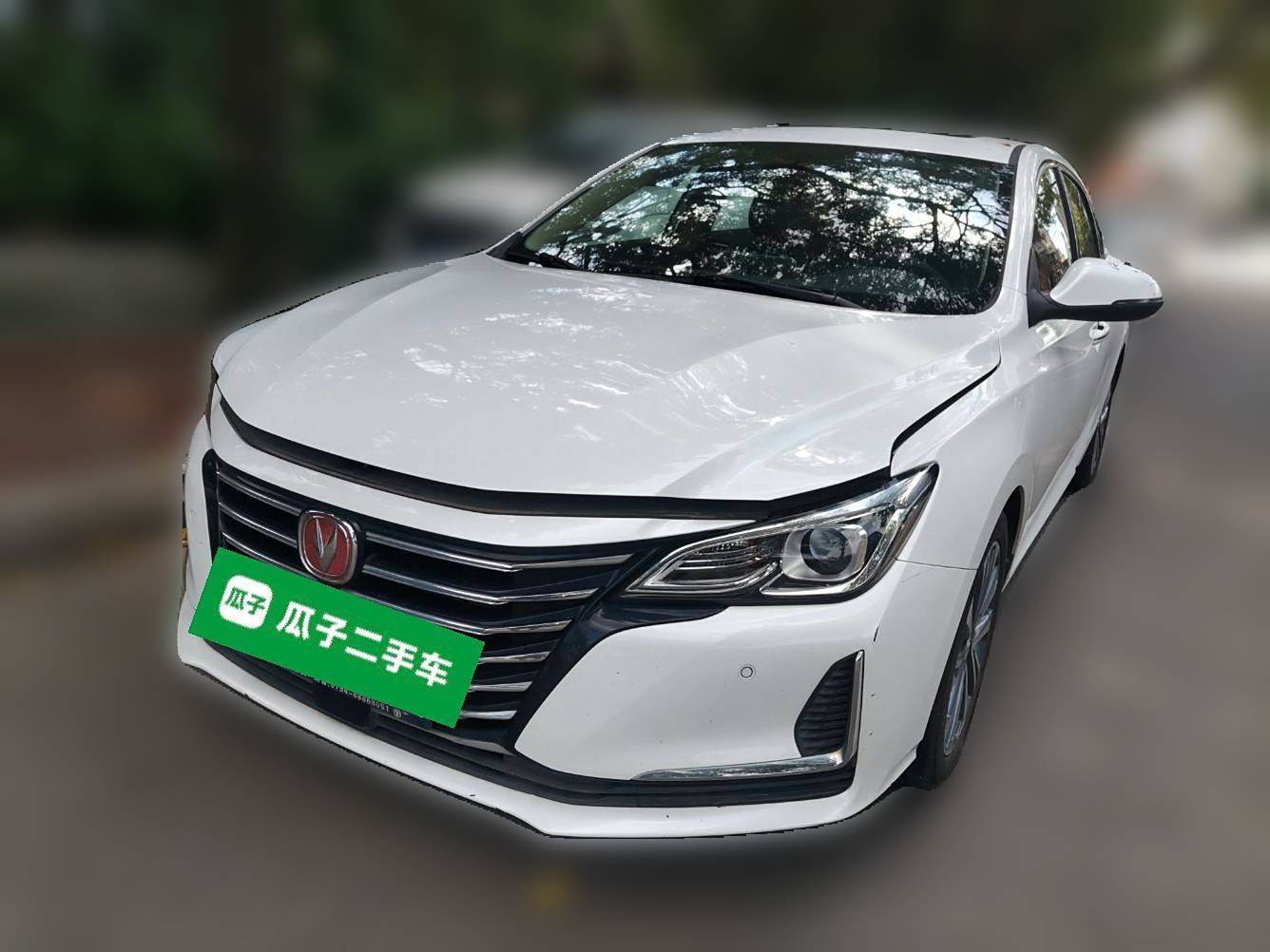 Changan Raeton CC 2019 汽车图片 