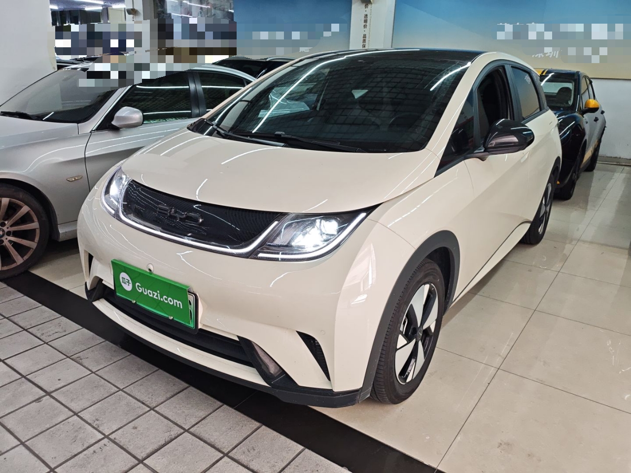 比亚迪 海豚 2023 汽车图片 