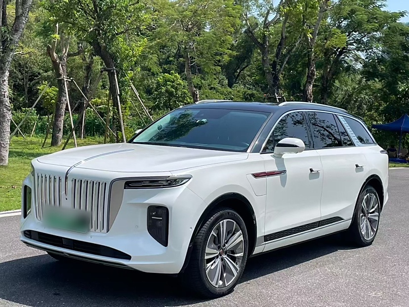 HongQi E-HS9 2021 car image 
