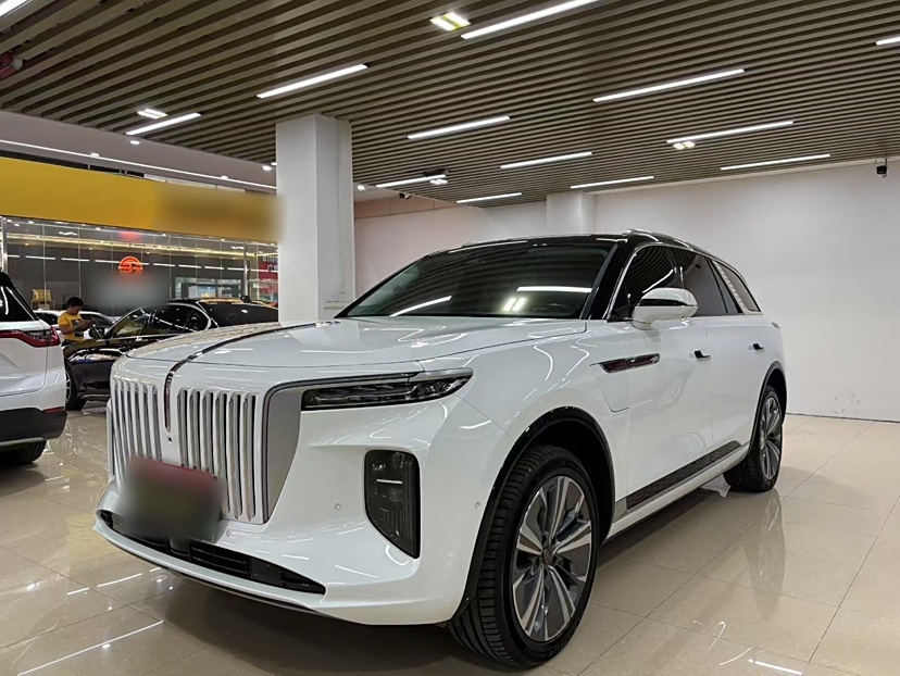 HongQi E-HS9 2021 car image 
