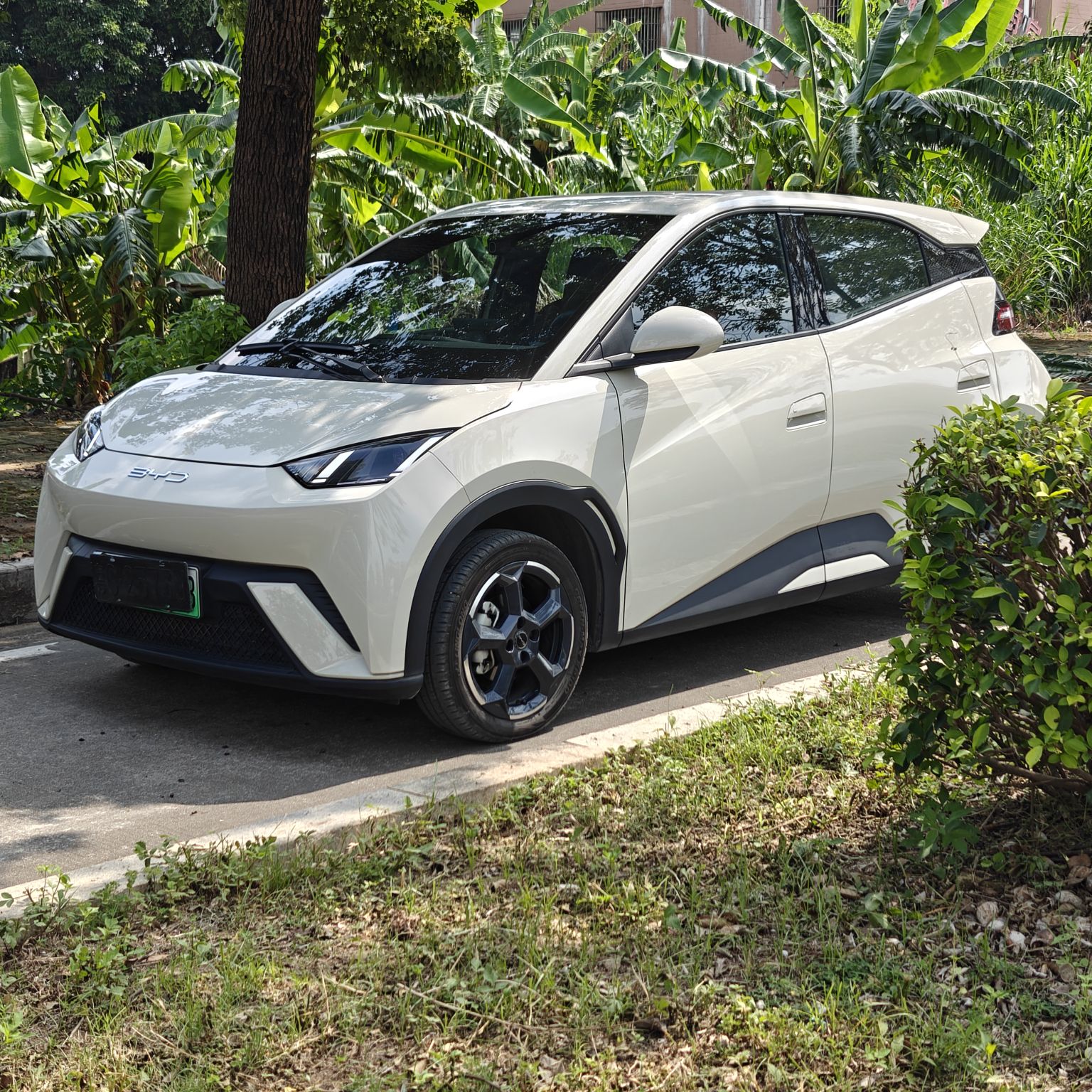 比亚迪 海鸥 2023 汽车图片 