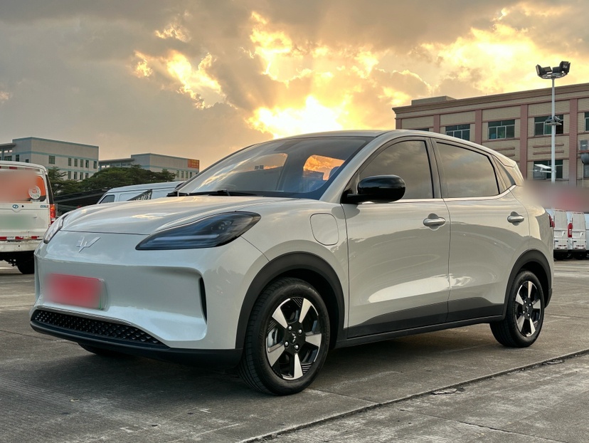 Wuling Compact Electric SUV 2025 Wuling Compact Electric SUV 2025 汽车图片