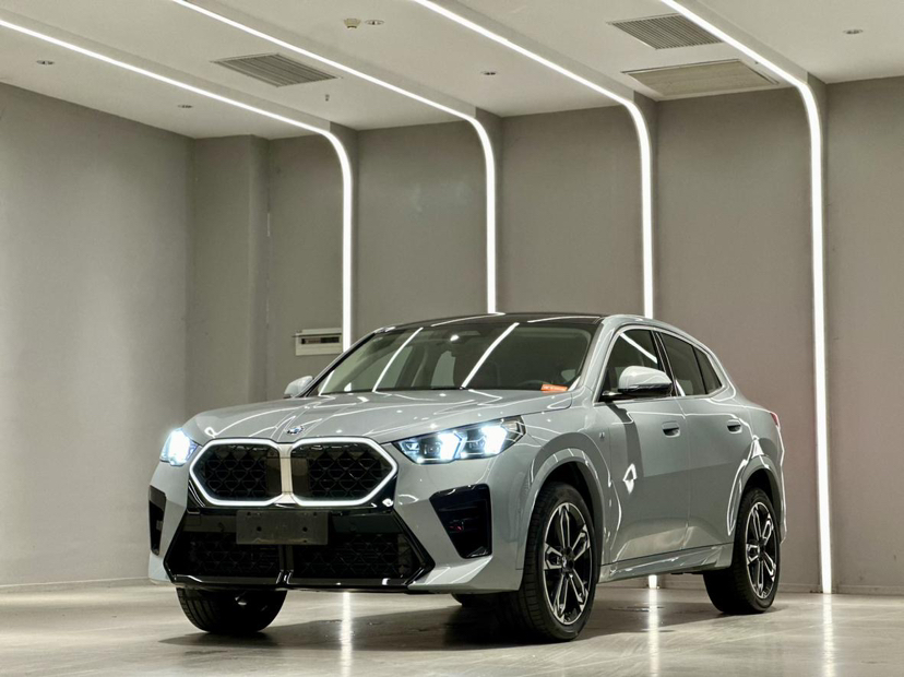 BMW X2 (Imported) 2024 car image 