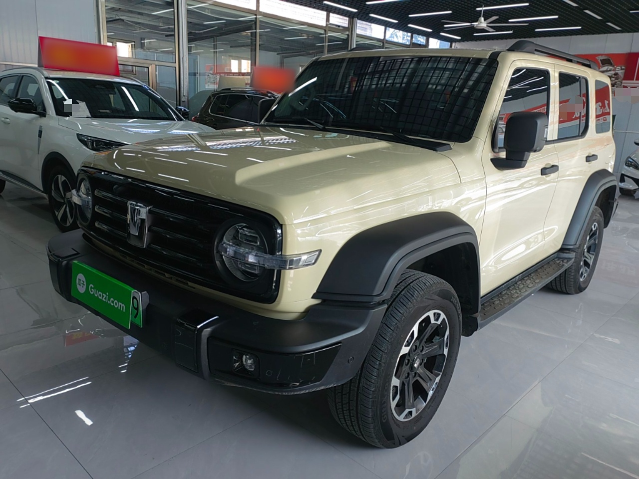 Tank 300 New Energy 2025 car image 