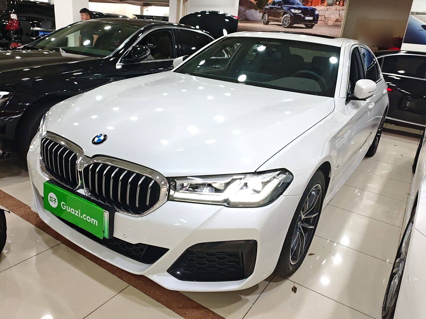 BMW 5 Series New Energy 2021 car image 