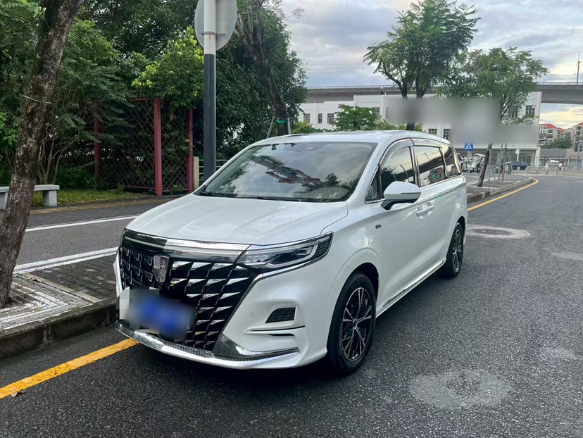 Roewe iMAX8 2020 汽车图片 